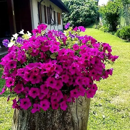 Margot Bed & Breakfast Albavilla