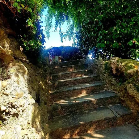 Margot Couette-café 3*