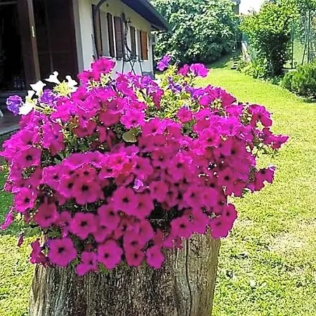 Bed & Breakfast Margot Albavilla