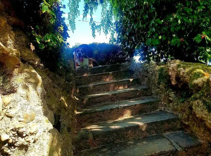 Margot Отель типа 