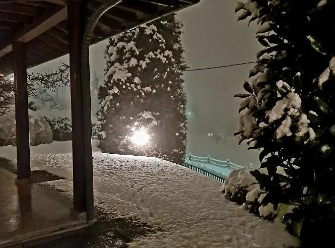 Margot Couette-café