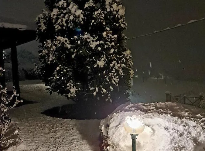 Margot Отель типа 