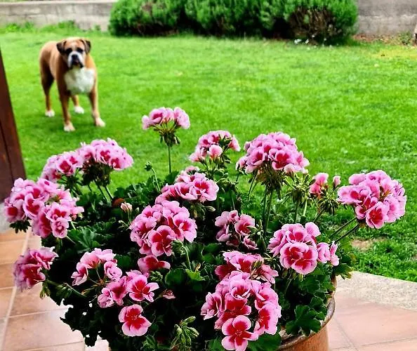 Margot Отель типа 