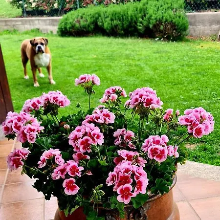 Margot לינה וארוחת בוקר